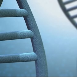 Test Me DNA