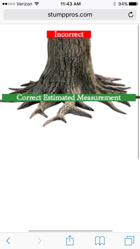 Stump Pros - tree service in Boston, MA
