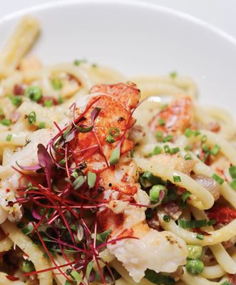 Libertine North End by null