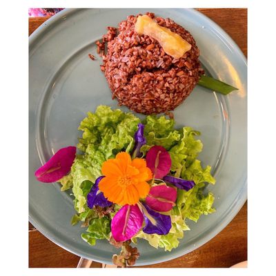 The Buzzz Cafe by Bohol Bee Farm by null