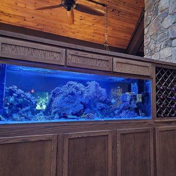Phoenix Bar & Grill - Aquarium - American Near Me - Baldwin, Wisconsin