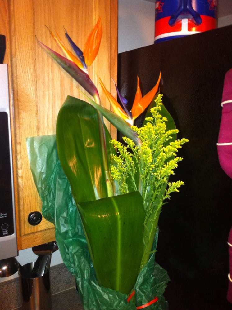 ARLINGTON FLOWER SHOP 45 Photos & 28 Reviews Florists 7130