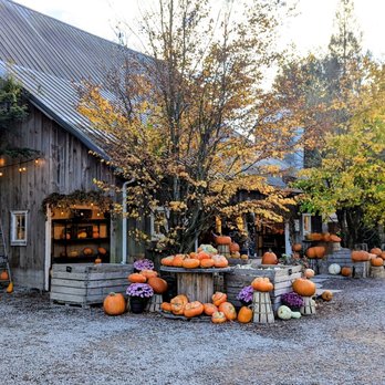 Gordon Skagit Farms - Fruits & Veggies Near Me - Mount Vernon, Washington Gordon Skagit Farms - Fruits & Veggies Near Me - Mount Vernon, Washington