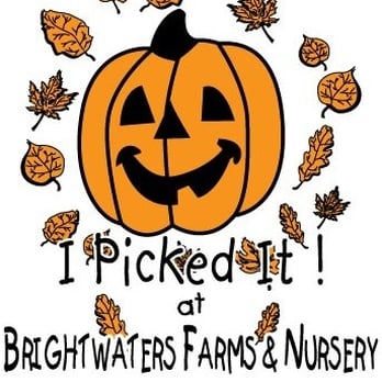 Brightwaters Farms - Pumpkin Patches Near Me - Bay Shore, New York Brightwaters Farms - Pumpkin Patches Near Me - Bay Shore, New York