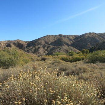 Big Morongo Canyon Preserve - Parks Near Me - Morongo Valley, California Big Morongo Canyon Preserve - Parks Near Me - Morongo Valley, California