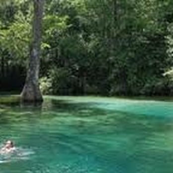 Ponce de Leon Springs State Park - Parks Near Me - Ponce De Leon, Florida Ponce de Leon Springs State Park - Parks Near Me - Ponce De Leon, Florida
