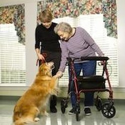 Advanced Senior Care Home Health