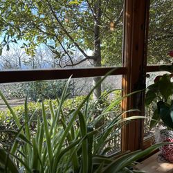 Albergaccio di Castellina - View from our table