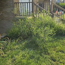 Marcelli's Lawn and Landcare