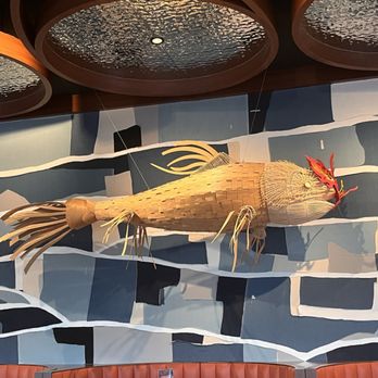 Twenty Five Sushi House - Japanese Near Me - Katy, Texas Twenty Five Sushi House - Japanese Near Me - Katy, Texas