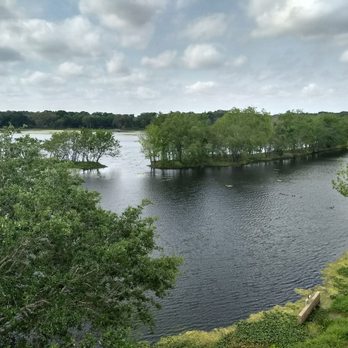 Brazos Bend State Park - Parks Near Me - Needville, Texas Brazos Bend State Park - Parks Near Me - Needville, Texas