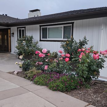 Hai's Painting - Exterior finished in white with contrasting brown trim, including fascia boards, eaves, and rain gutter system. - Painters Near Me Hai's Painting - Exterior finished in white with contrasting brown trim, including fascia boards, eaves, and rain gutter system. - Painters Near Me