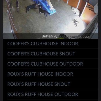 Camp Bow Wow - Watching my baby via app while I'm at work is so nice - Pet Training Near Me - Houston, Texas Camp Bow Wow - Watching my baby via app while I'm at work is so nice - Pet Training Near Me - Houston, Texas