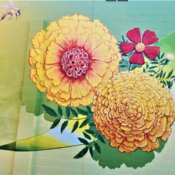 Marigold - Marigold by Blice Edwards 2019