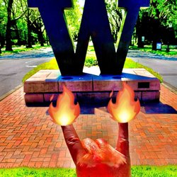 University of Washington Climbing Rock