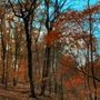 Photo of Jomeokee Campground