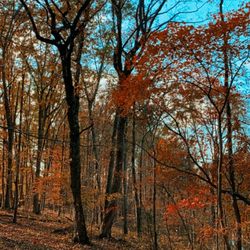 Jomeokee Campground