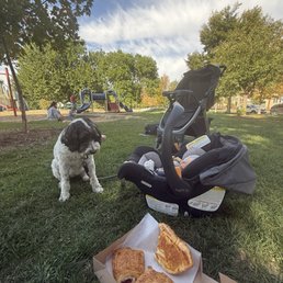 The spread at the park!