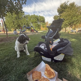 Trompeau Bakery - The spread at the park! - Desserts Near Me - Englewood, Colorado Trompeau Bakery - The spread at the park! - Desserts Near Me - Englewood, Colorado
