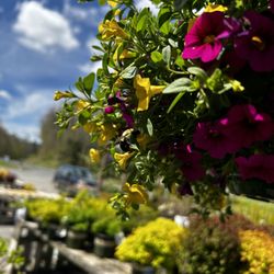 Shelburne Farm and Garden