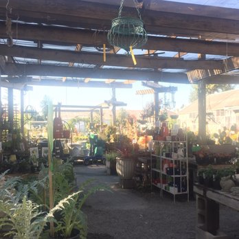 King's Nursery - From one corner of nursery... - Nurseries & Gardening Near Me - Santa Rosa, California King's Nursery - From one corner of nursery... - Nurseries & Gardening Near Me - Santa Rosa, California