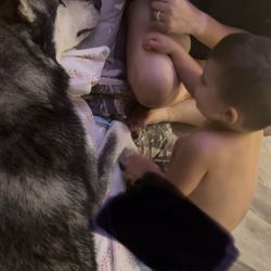 The Ark Animal Hospital - My grandson giving his dog a bye kiss before bath. This is what she did for 3 days, lay on her side and breathe heavy.