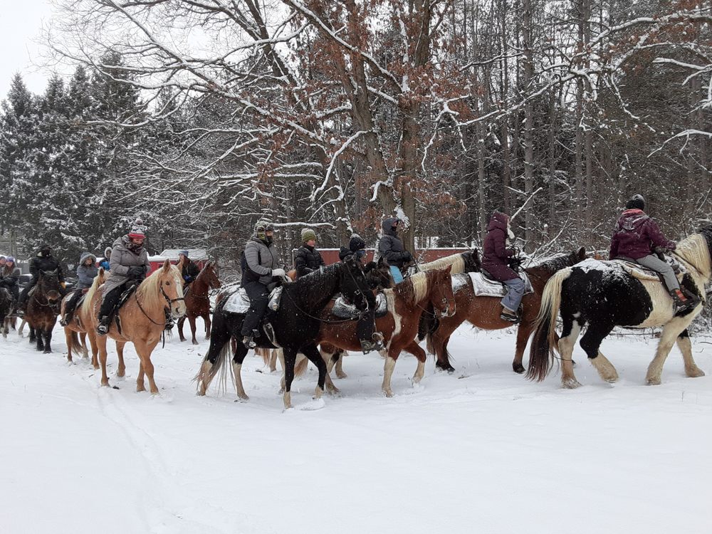 Wild West Ranch - equestrian in Fennville, MI
