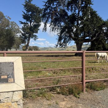 Sebastian's - Sandwiches Near Me - San Simeon, California Sebastian's - Sandwiches Near Me - San Simeon, California
