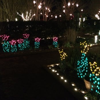 Daniel Stowe Botanical Garden - Christmas Lights at DSBG - Botanical Gardens Near Me - Belmont, North Carolina