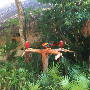 Xel-Há - Amusement Parks Near Me - Tulum, ROO Xel-Há - Amusement Parks Near Me - Tulum, ROO