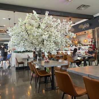 Pho & Beyond - Vietnamese Near Me - Las Vegas, Nevada