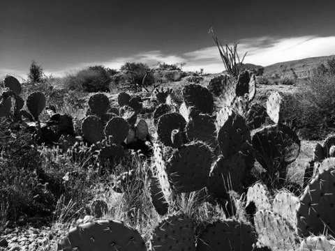 Apache Trail by null
