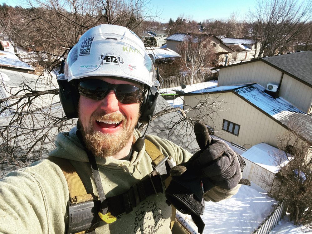 AFFORDABLE TREE SERVICE Updated August 2024 10 Photos Gladstone