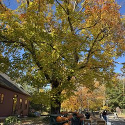 Barden Orchards