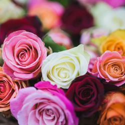 Legado Flowers