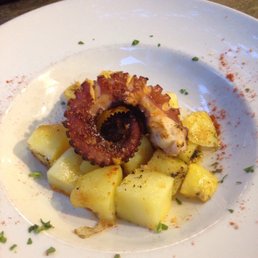 Octopus