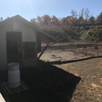 Kidd's Place - Sporting Clay/Pistol Range - Pistol range from the walkway. - Gun/Rifle Ranges Near Me - Holly Springs, North Carolina Kidd's Place - Sporting Clay/Pistol Range - Pistol range from the walkway. - Gun/Rifle Ranges Near Me - Holly Springs, North Carolina