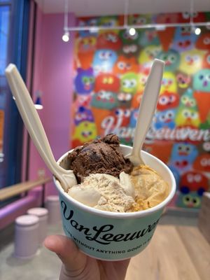 Van Leeuwen Ice Cream by null