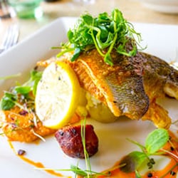 Beeches Bar & Grill - Fish Specials | Restaurant in Solihull