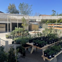 Plant Material - Plant Material