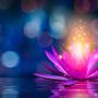 Photo of Divine Harmony Massage