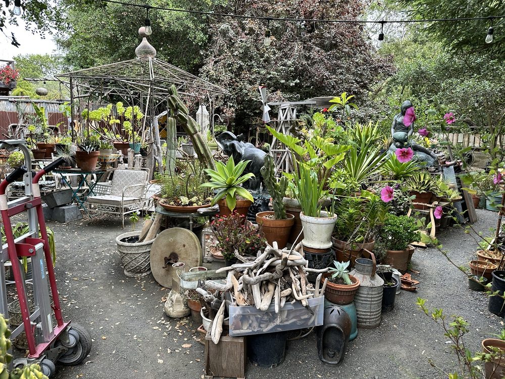 CAMBRIA ANTIQUE ARCHEOLOGY Updated July 2024 59 Photos 2442 Main