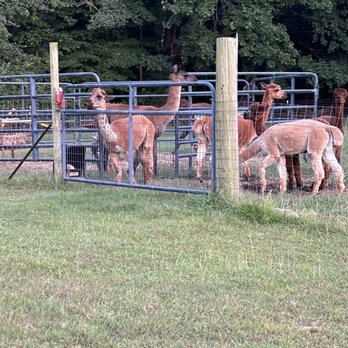 Lavender Waves farm - Farms Near Me - South Kingstown, Rhode Island
