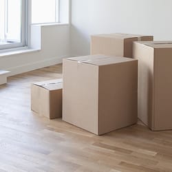 Bird Dogs Delivery & Moving Service
