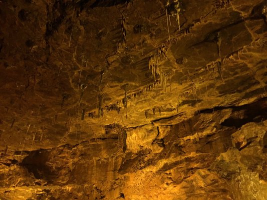 National Showcaves Centre for Wales by null