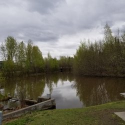 Meadow Park