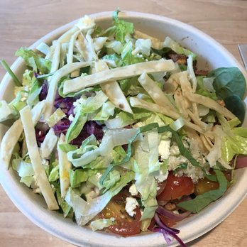 CAVA - Chicken was warm, juicy, and came in two scoops that were a nice portion - Mediterranean Near Me - Irvine, California