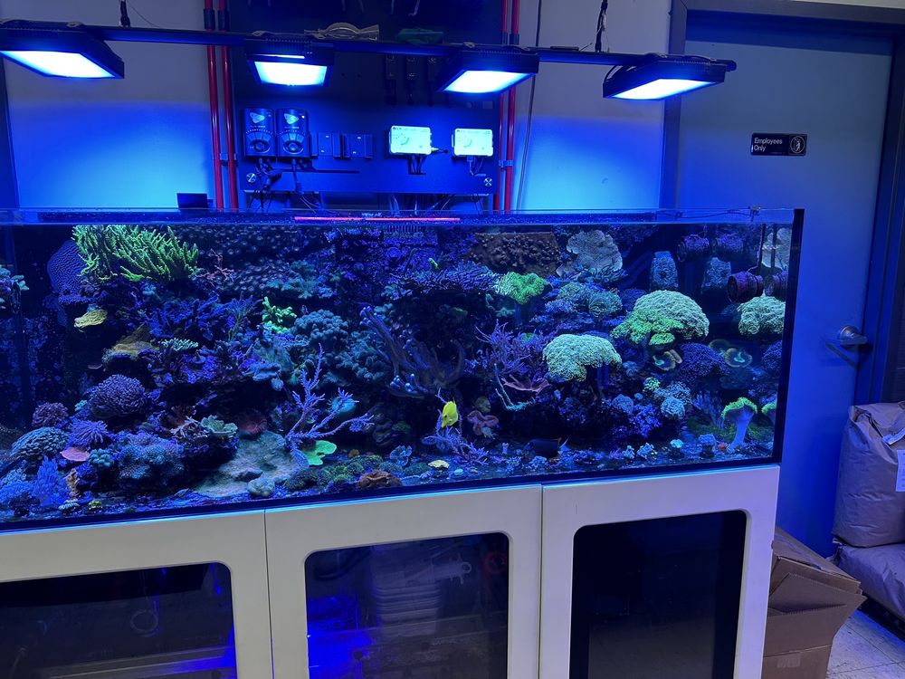 Aqua-World Pet Super Center - reptile breeding in Pittsburgh, PA