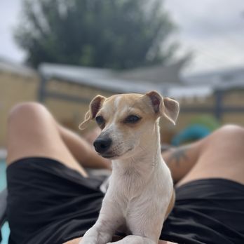 PetSmart - Pet Stores Near Me - Las Vegas, Nevada PetSmart - Pet Stores Near Me - Las Vegas, Nevada