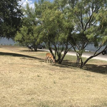 Possum Kingdom State Park - Parks Near Me - Caddo, Texas